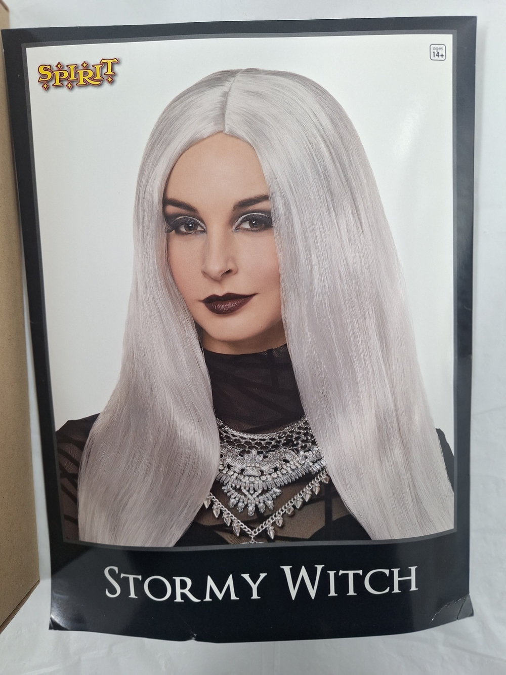 Spirit Stormy Witch Silver Long Straight Wig for Women